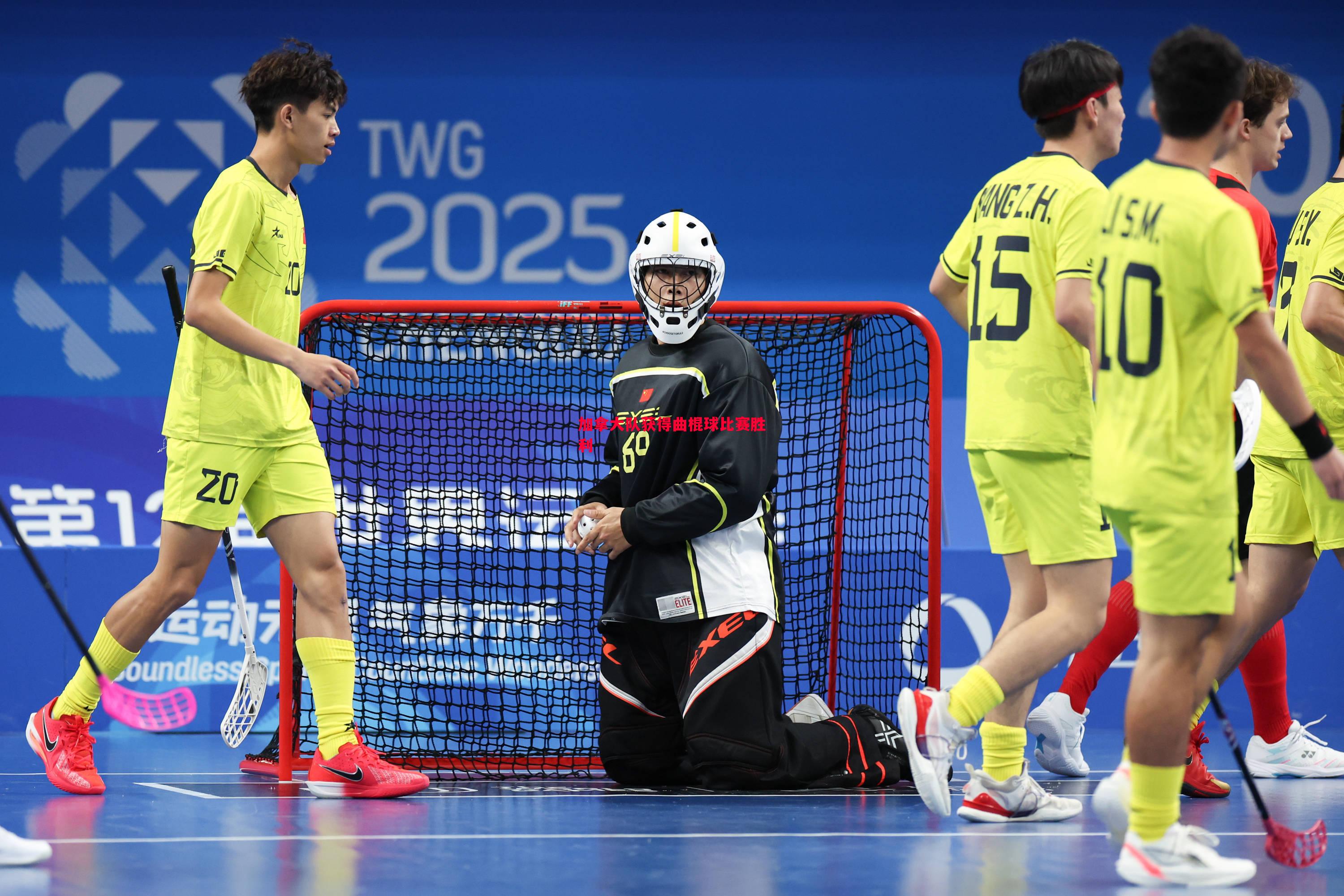 加拿大队获得曲棍球比赛胜利 加拿大队获得曲棍球比赛胜利