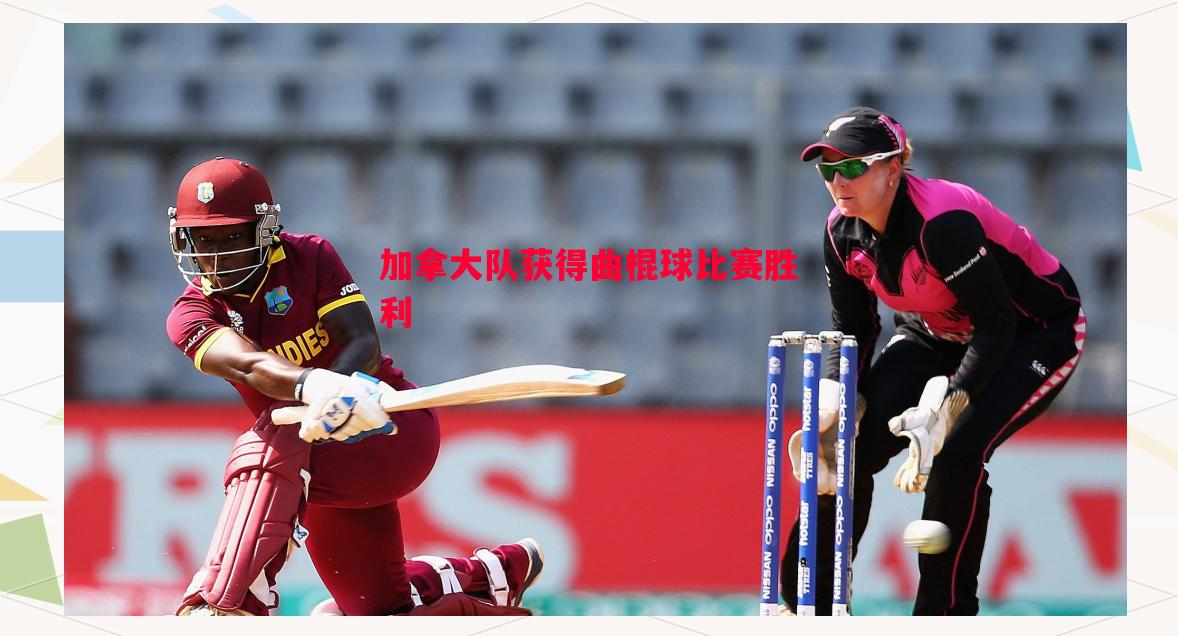 加拿大队获得曲棍球比赛胜利 加拿大队获得曲棍球比赛胜利